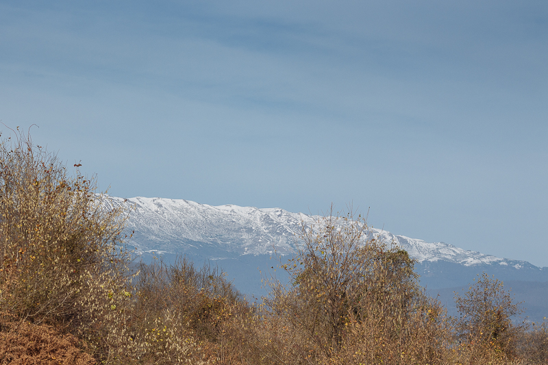 View from Okatse Canyon towards the mountains